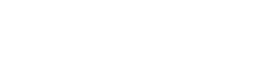 inadigital white logo
